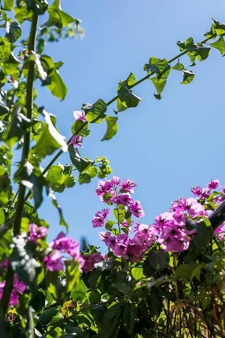 Giardino Apartment Spalato Croazia